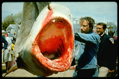 大白鲨剧照的剧照