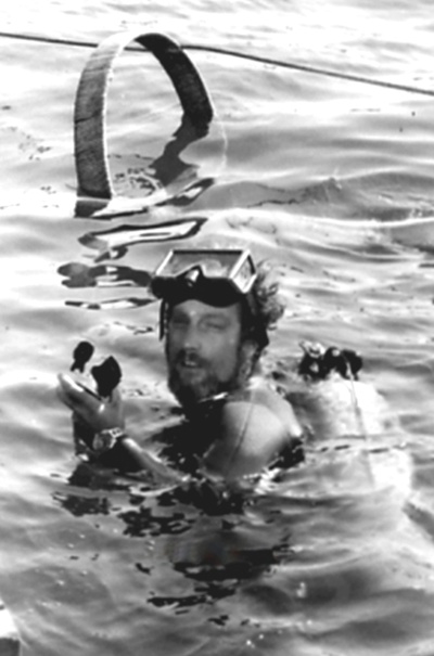 大白鲨剧照的剧照