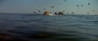 大白鲨剧照的剧照