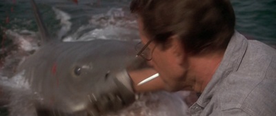 大白鲨剧照的剧照