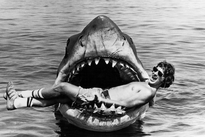 大白鲨剧照的剧照