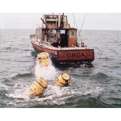 大白鲨剧照的剧照