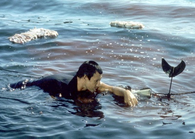 大白鲨剧照的剧照