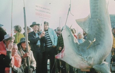 大白鲨剧照的剧照