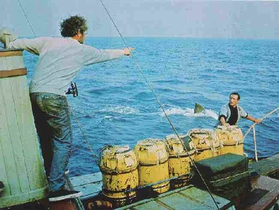 大白鲨剧照的剧照