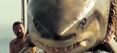 大白鲨剧照的剧照