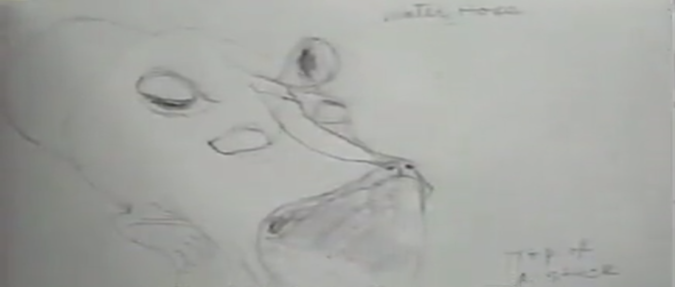 胡金铨传奇剧照的剧照