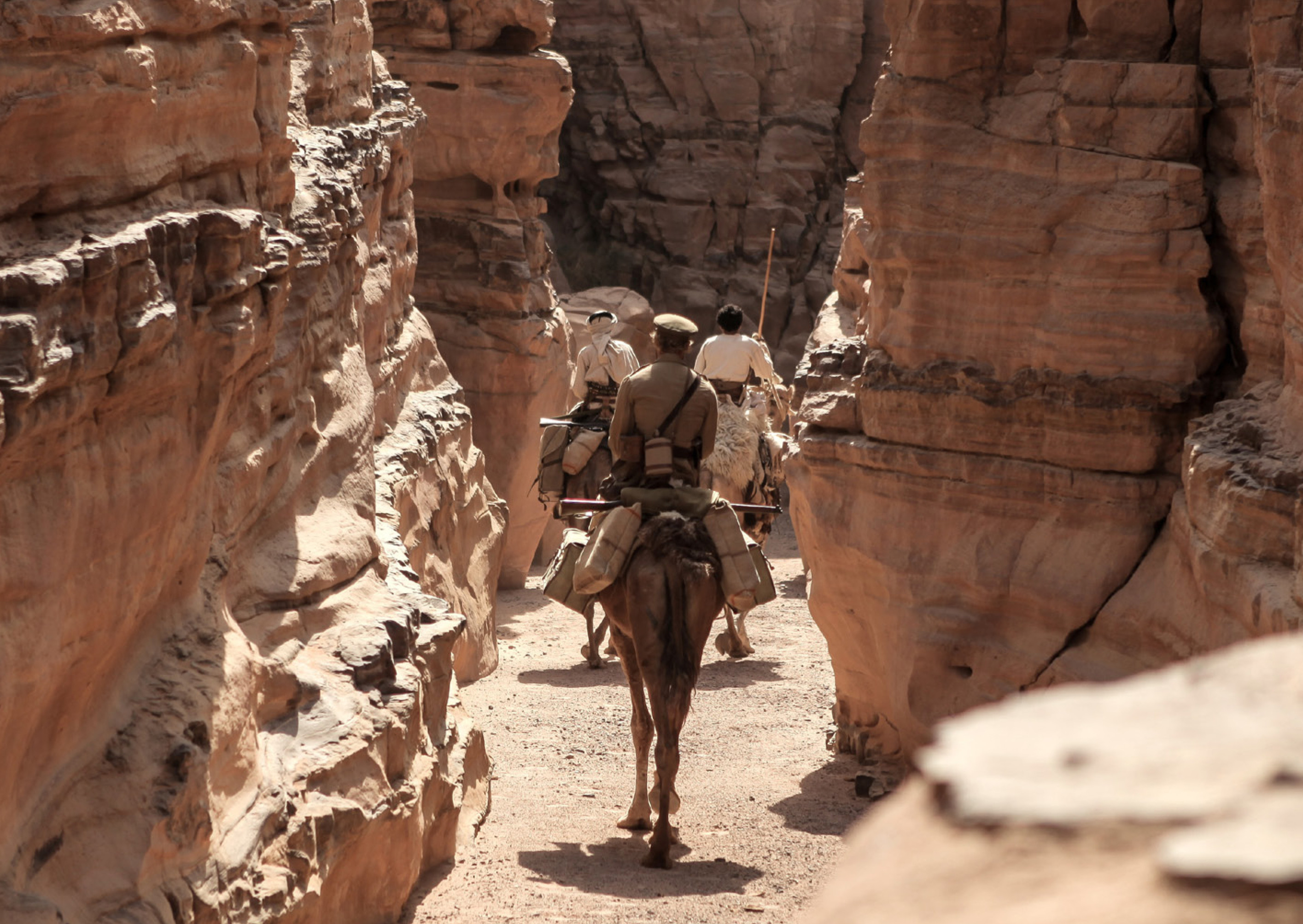 希布剧照的剧照