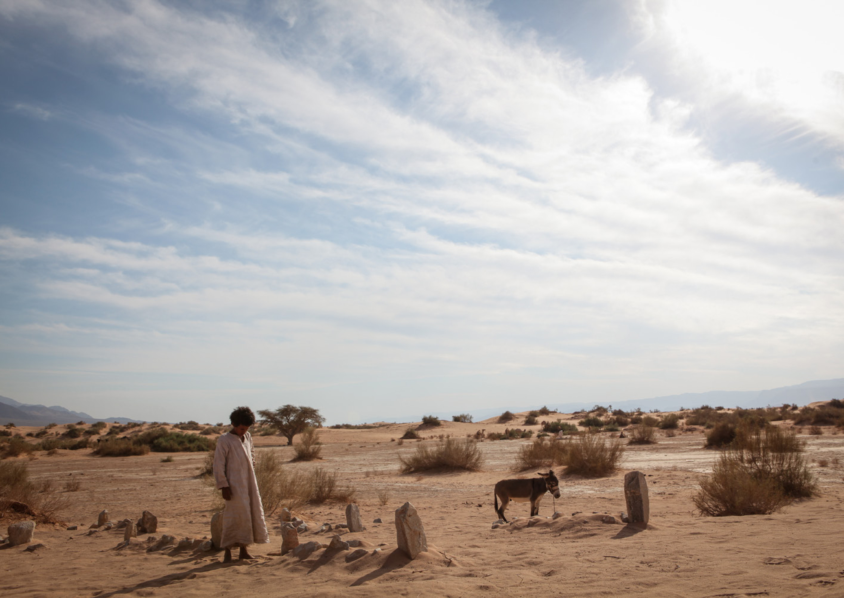 希布剧照的剧照