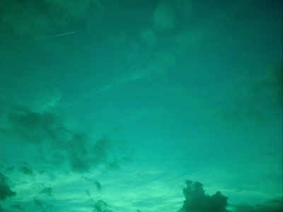 大象剧照的剧照