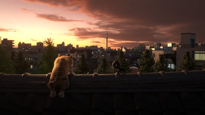 黑猫鲁道夫剧照的剧照