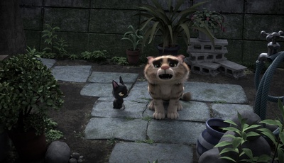 黑猫鲁道夫剧照的剧照