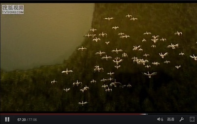 麦兜响当当剧照的剧照