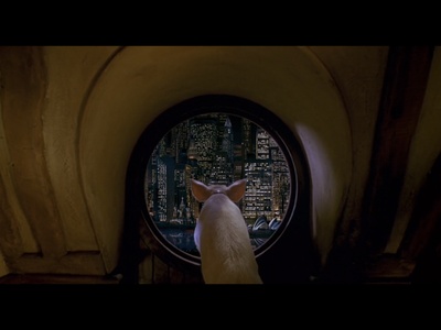 小猪宝贝2：小猪进城剧照的剧照