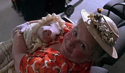 小猪宝贝2：小猪进城剧照的剧照