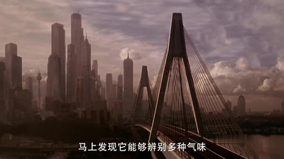 小猪宝贝2：小猪进城剧照的剧照