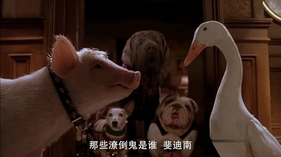 小猪宝贝2：小猪进城剧照的剧照