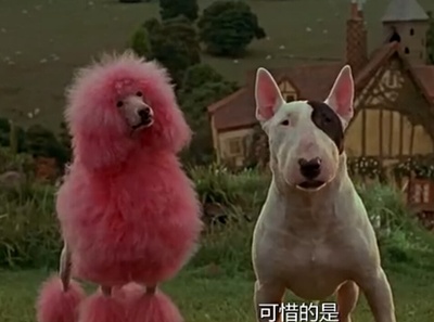 小猪宝贝2：小猪进城剧照的剧照