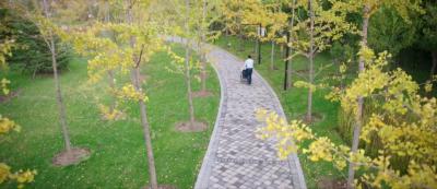 张震讲故事之合租屋剧照的剧照