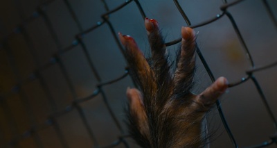 好孩子剧照的剧照