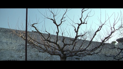 1915年的卡蜜儿剧照的剧照