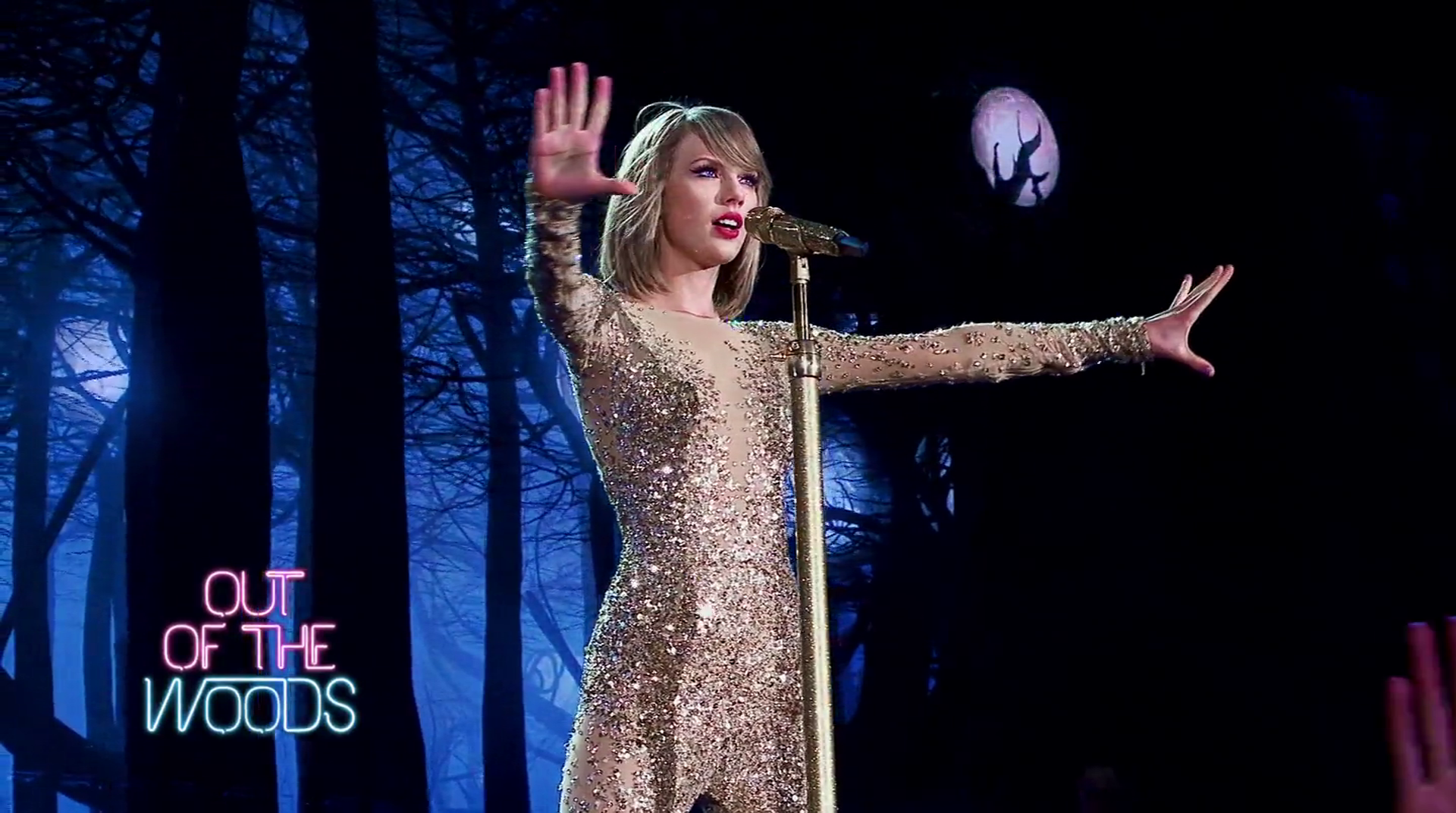 泰勒·斯威夫特：1989世界巡回演唱会剧照的剧照