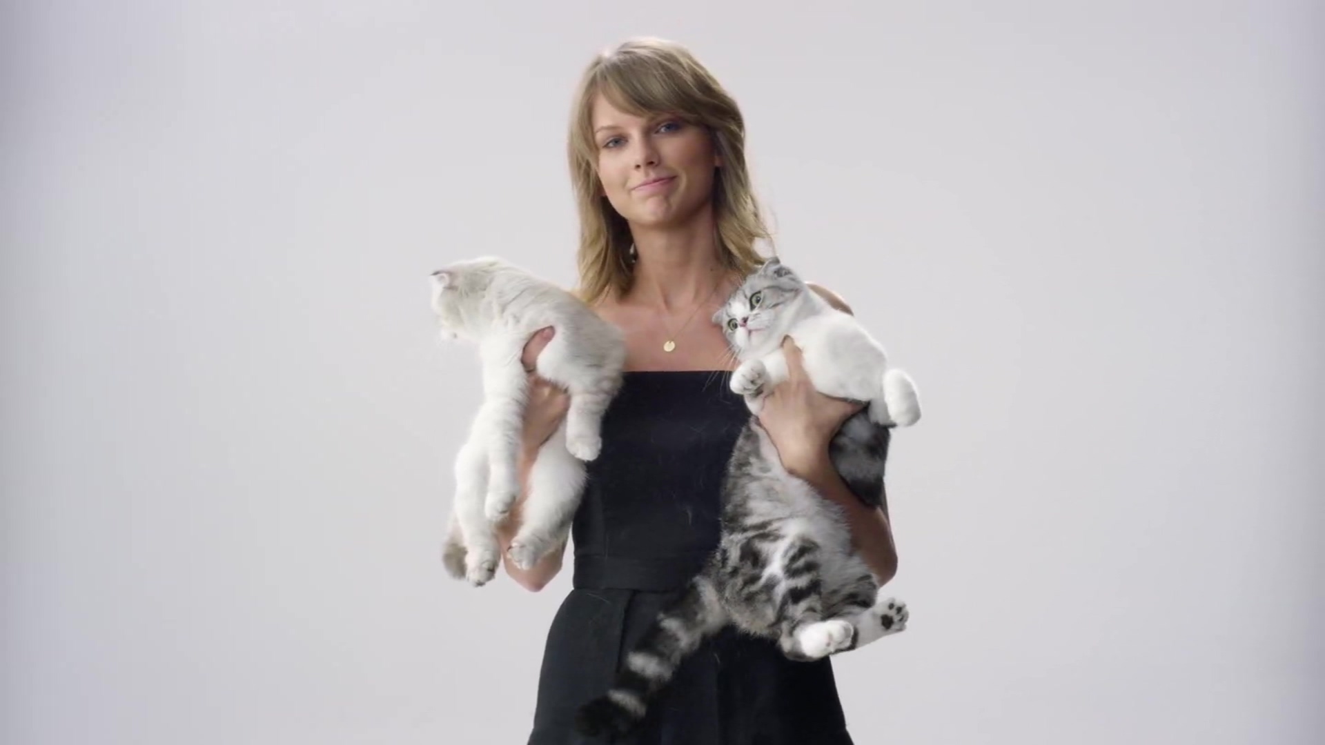 泰勒·斯威夫特：1989世界巡回演唱会剧照的剧照