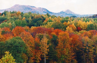 十面埋伏剧照的剧照