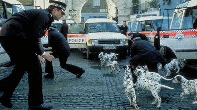 101真狗剧照的剧照