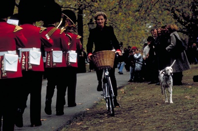 101真狗剧照的剧照