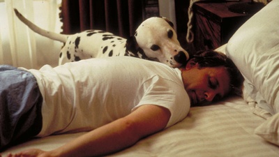 101真狗剧照的剧照