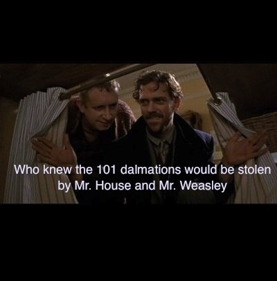 101真狗剧照的剧照