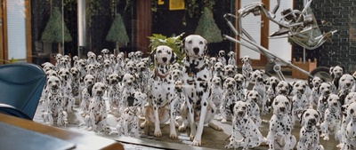 101真狗剧照的剧照