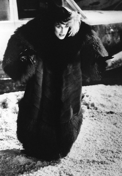 101真狗剧照的剧照