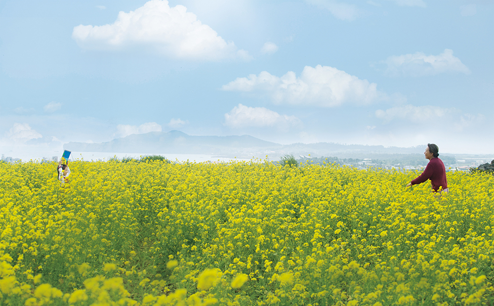 季春奶奶剧照的剧照