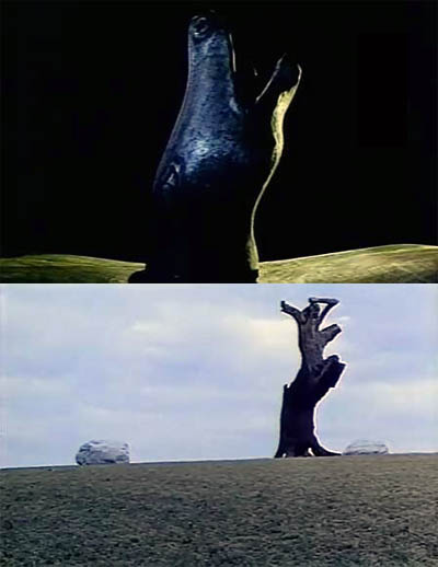 阿婴剧照的剧照