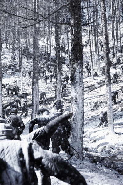 登陆之日剧照的剧照