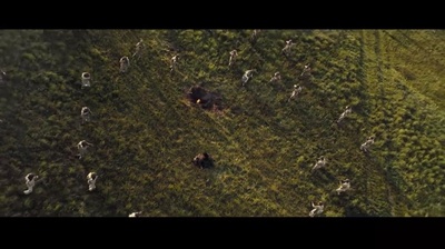 登陆之日剧照的剧照