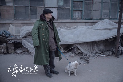 大象席地而坐剧照的剧照