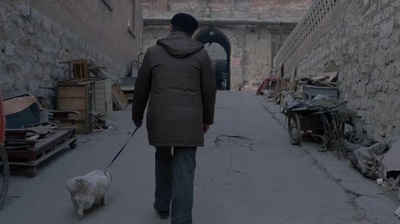 大象席地而坐剧照的剧照