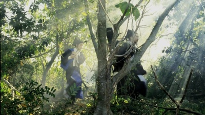 笑傲江河剧照的剧照