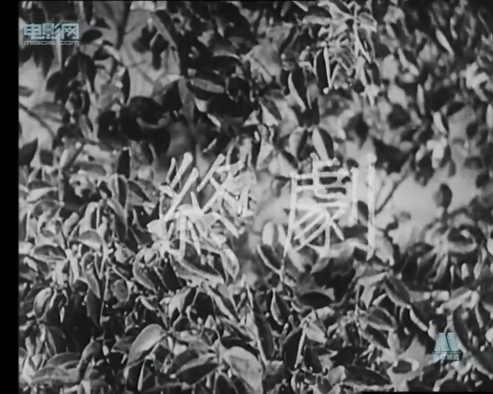 哀乐中年剧照的剧照