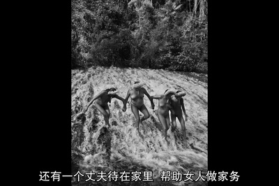 地球之盐剧照的剧照