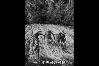 地球之盐剧照的剧照