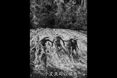 地球之盐剧照的剧照