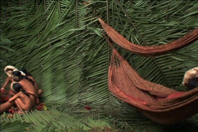 地球之盐剧照的剧照