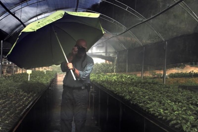 地球之盐剧照的剧照