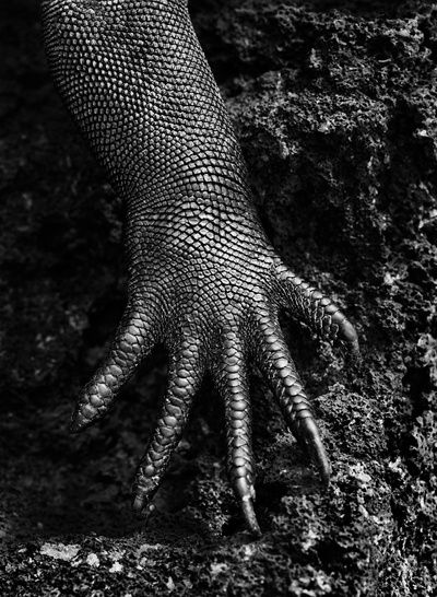 地球之盐剧照的剧照