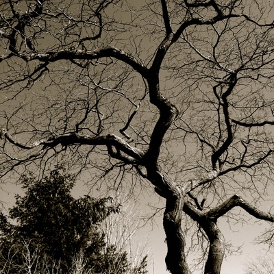 地球之盐剧照的剧照