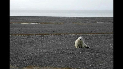 地球之盐剧照的剧照